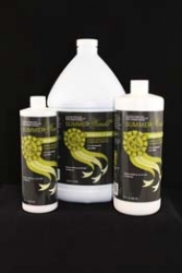 Summerwinds Remove A Way Shampoo 16oz