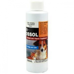 Ossol Syrup 250ml