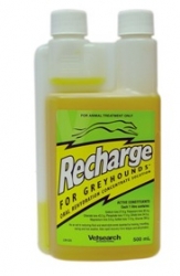 Recharge Electrolyte Replacer 