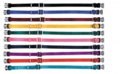 3/8" Adjustable Puppy Collars