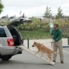 PetStep Ramp (Full Size)