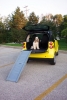 Tote N Store Dog Ramp