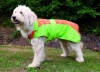 Trixie - Tcoat Lorient Raincoat